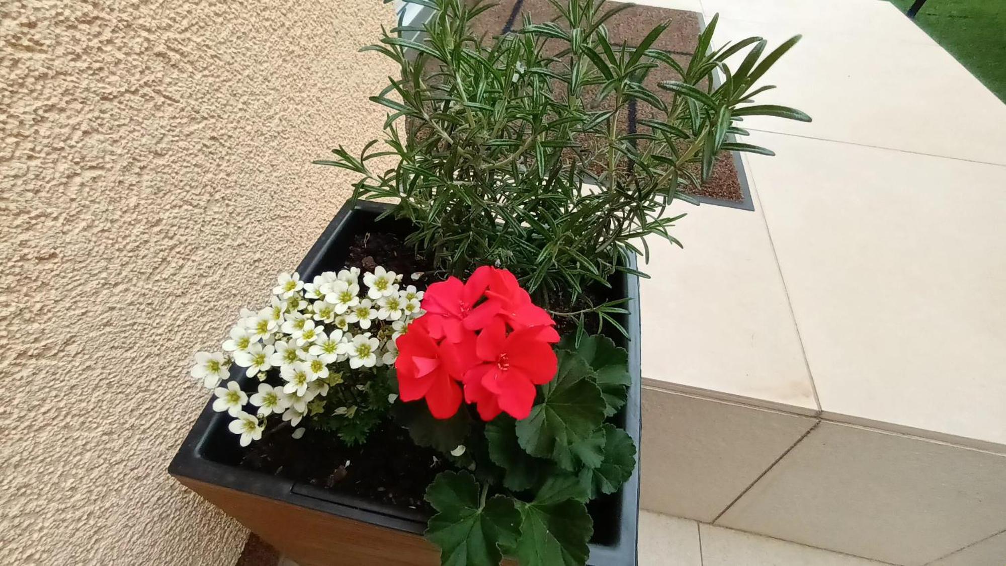 Apartman Sandra -private Parking And Garden Zadar