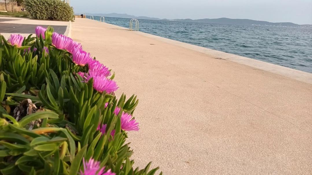 Sandra -private Parking And Garden Zadar
