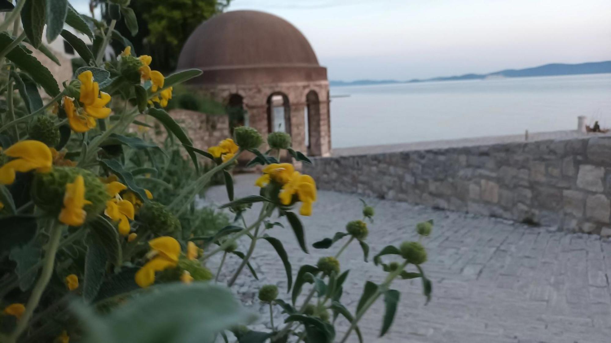 Apartmán Sandra -private Parking And Garden Zadar